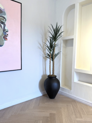 Slim Yucca Tree with Matte Black Ampora Pot