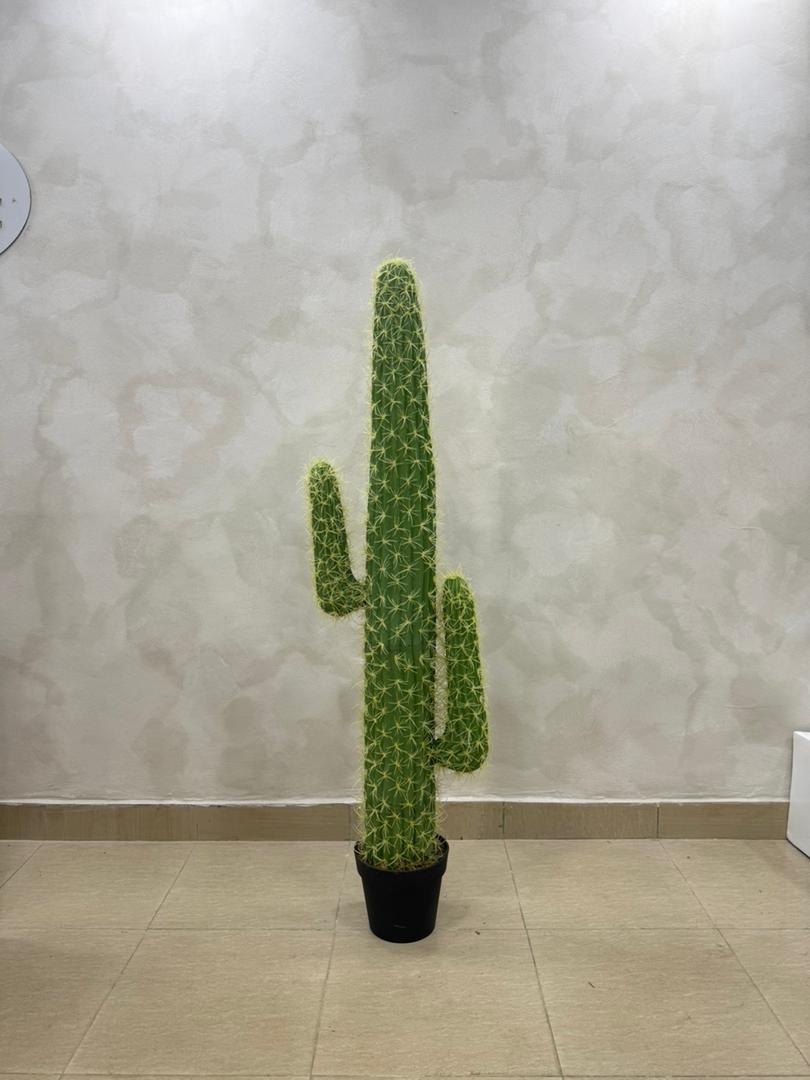 Artificial Cactus Plant - 145cm