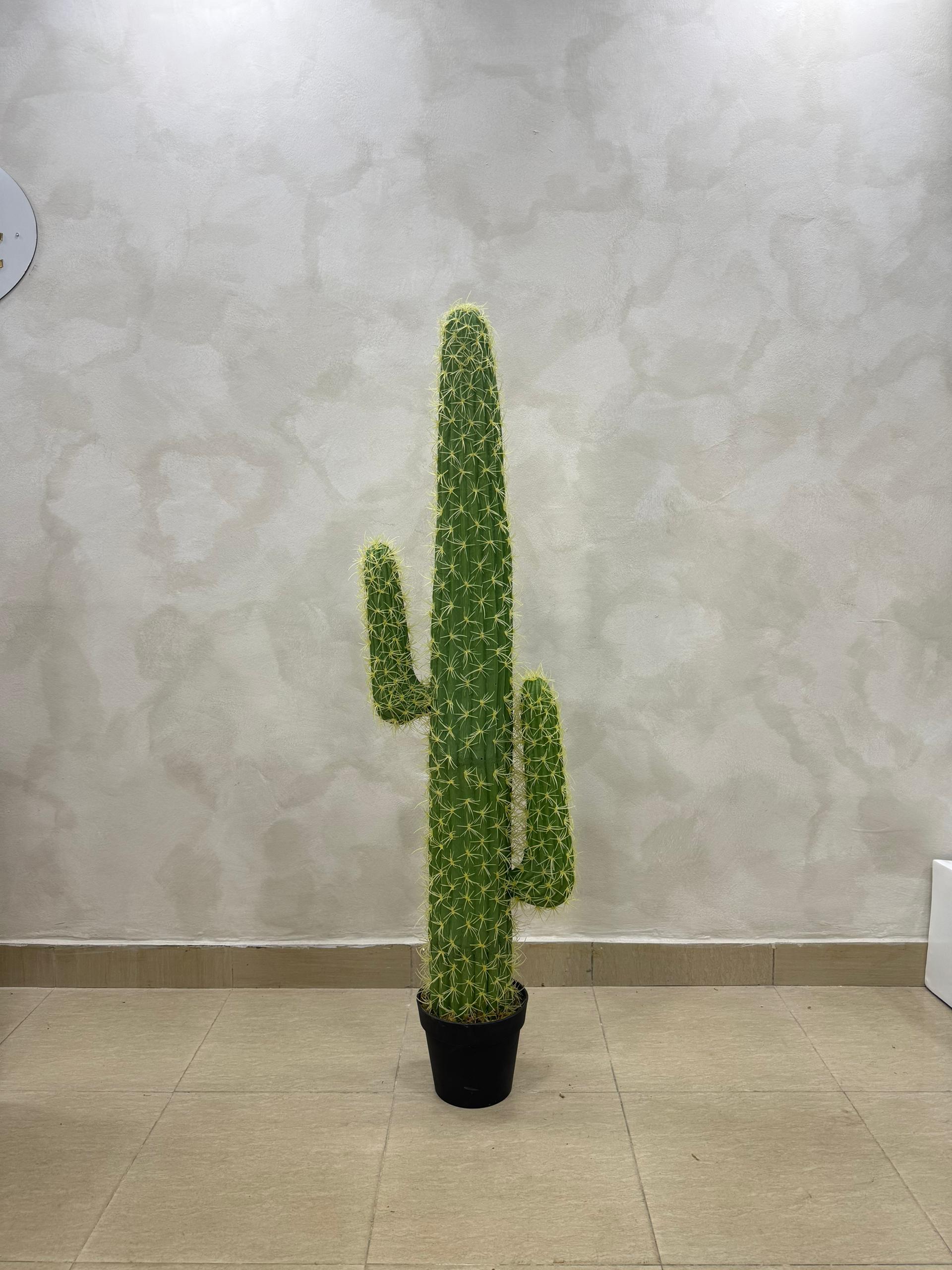Artificial Cactus Plant - 145cm