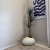 Artificial Slim Yucca Plant with Textured Pale Shoe Pot – 160cm