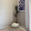 Artificial Slim Yucca Plant with Textured Pale Shoe Pot – 160cm
