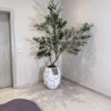 Untitled design - 2026-06-09T164530.931 White Rustic Big Evo with Artificial Wide Olive Tree – 240cm
