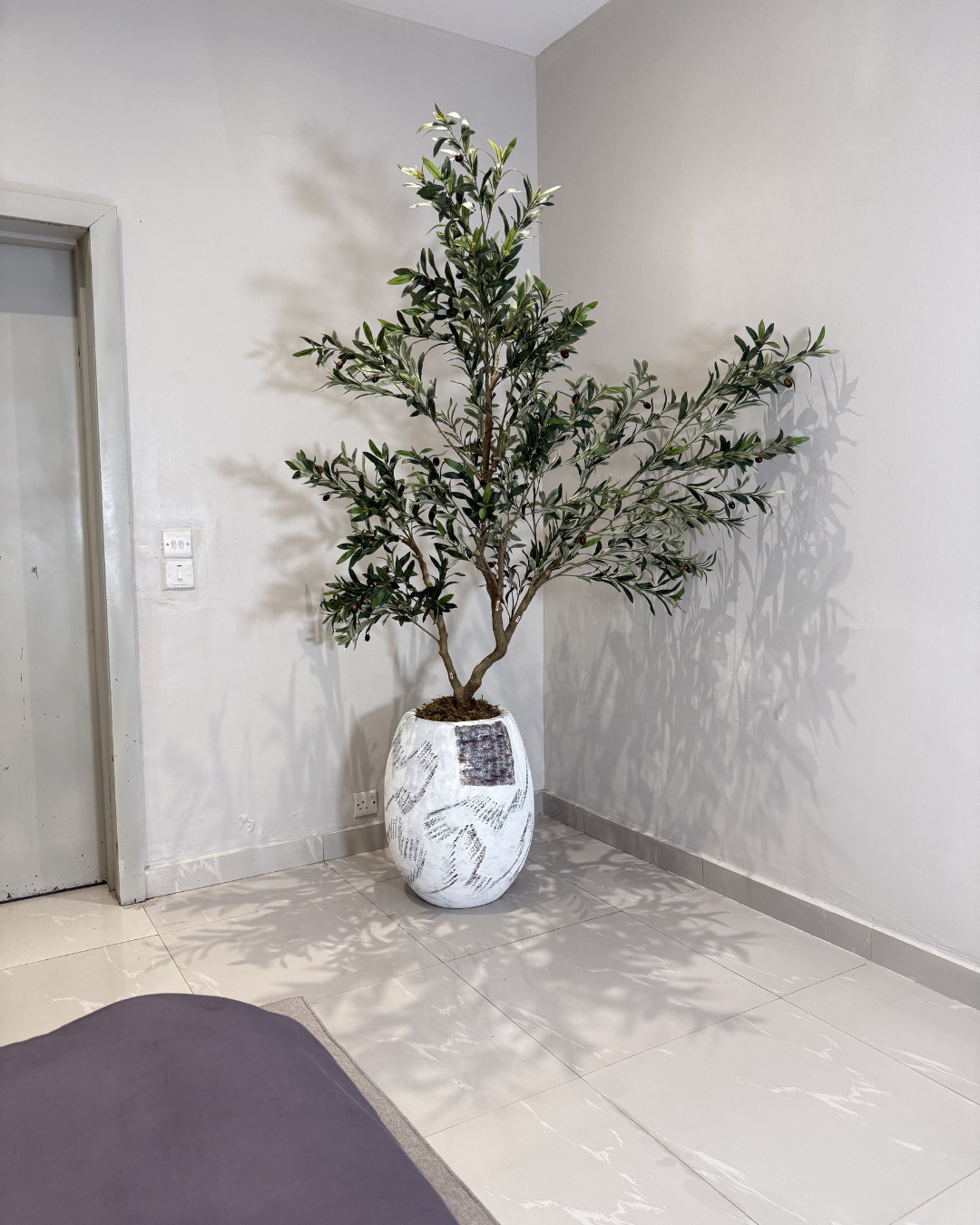 Untitled design - 2026-06-09T164530.931 White Rustic Big Evo with Artificial Wide Olive Tree – 240cm