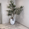 Untitled design - 2026-06-09T164535.735 White Rustic Big Evo with Artificial Wide Olive Tree – 240cm