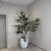 Artificial Wide Olive Tree 210cm Artificial Wide Olive Tree in White Rustic Big Evo Pot for modern home décor and luxury interior styling