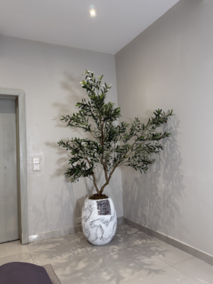 210cm Artificial Wide Olive Tree in White Rustic Big Evo Pot for modern home décor and luxury interior styling