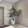 Untitled design - 2026-06-09T164550.169 210cm Artificial Wide Olive Tree in White Rustic Big Evo Pot for modern home décor and luxury interior styling