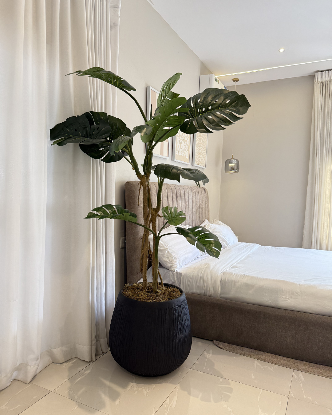 Untitled design - 2026-06-10T193001.490 Artificial Monstera Plant in Matte Black Rough Big Merlot Pot