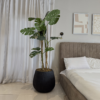 Artificial Monstera Plant Artificial Turtle Monstera plant for modern home décor