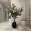 Artificial olive tree for office décor in Nigeria