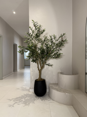 Artificial Olive Tree in Nigeria Artificial olive tree for office décor in Nigeria