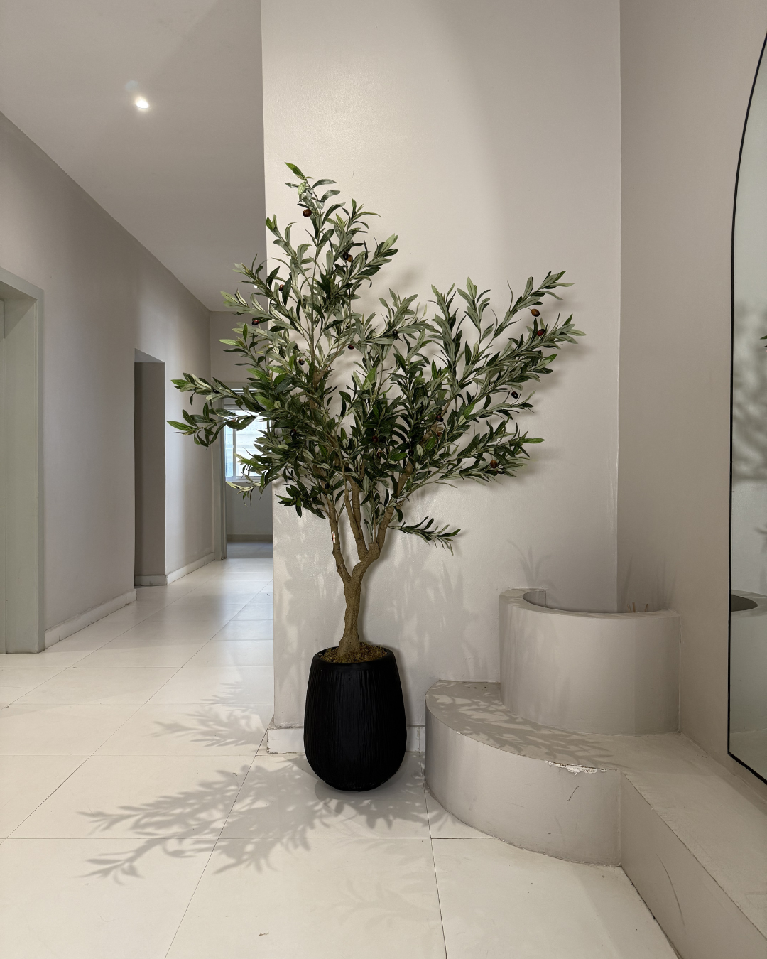 Artificial olive tree for office décor in Nigeria
