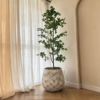 Artificial cedar tree for office décor in Nigeria