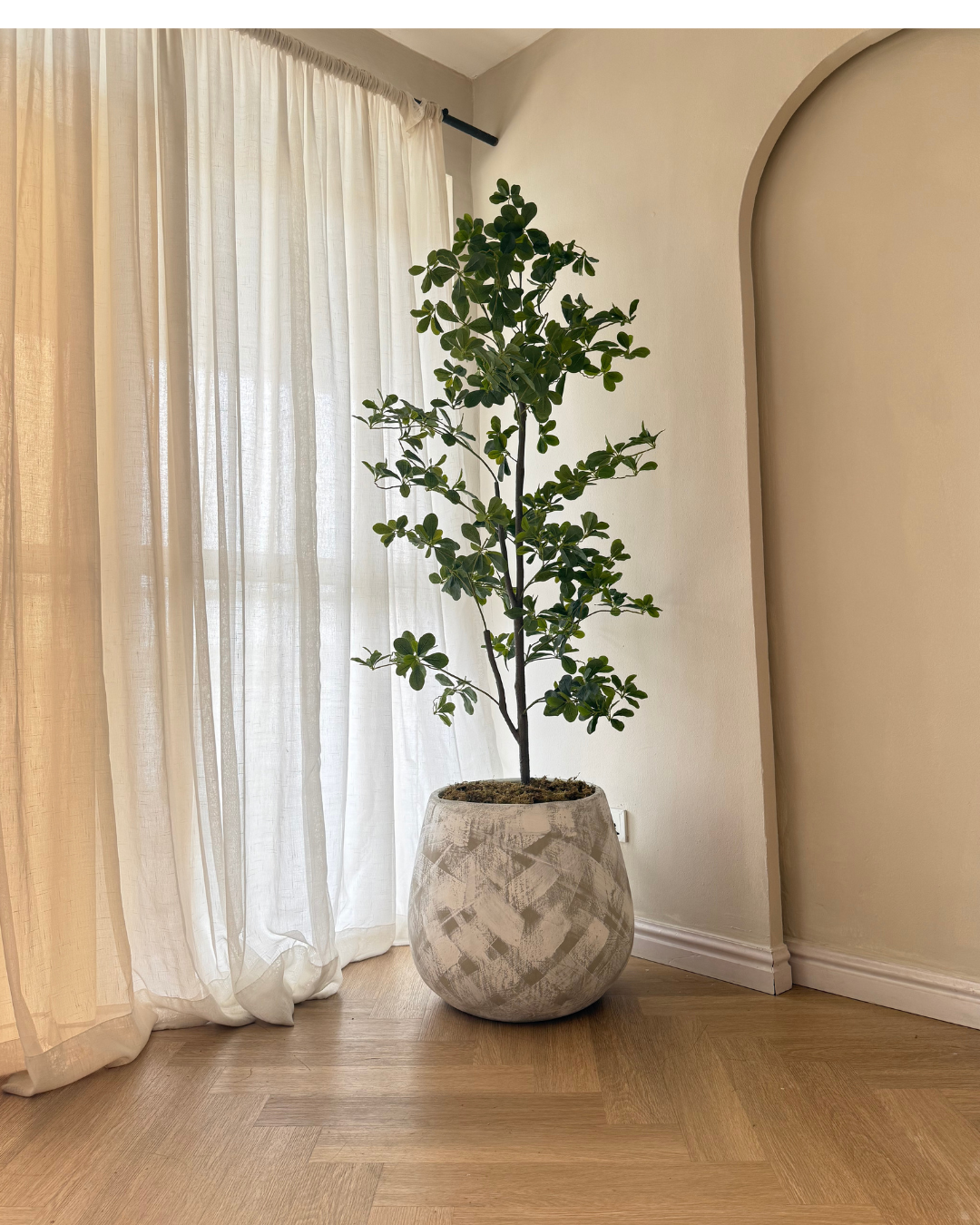 Artificial cedar tree for office décor in Nigeria