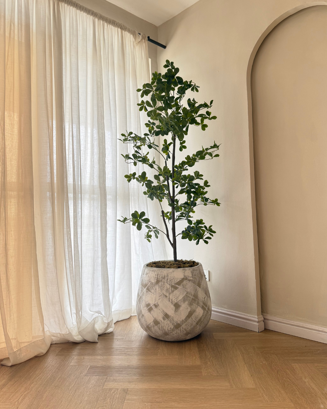 Artificial cedar tree in Nigeria styled in Stroked Big Merlot Pot