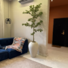 Artificial Banyan Tree in Nigeria Artificial banyan tree in Nigeria for luxury interior styling