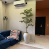 Artificial Banyan Tree in Nigeria Artificial White Edge Banyan Tree for modern home décor