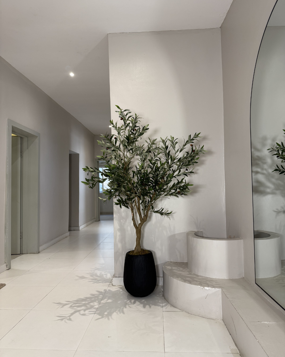 Artificial olive tree in Nigeria in Matte Black Rough Small Merlot Pot