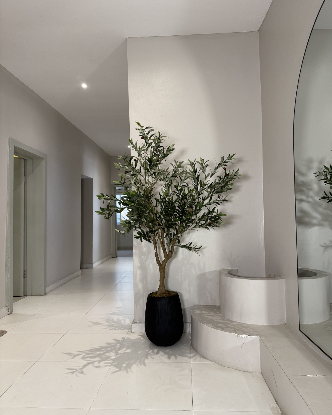 Plant Shop Near Me – Artificial olive tree in a modern black planter for stylish home and office décor.