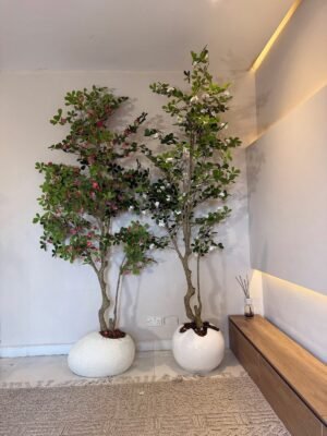 250cm Artificial Red and White Exotica Trees Styled in Textured Pale and Glossy White Pots