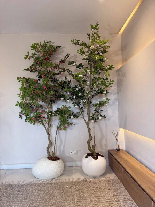 250cm Artificial Red and White Exotica Trees Styled in Textured Pale and Glossy White Pots