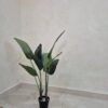 Artificial Banana Palm 115cm