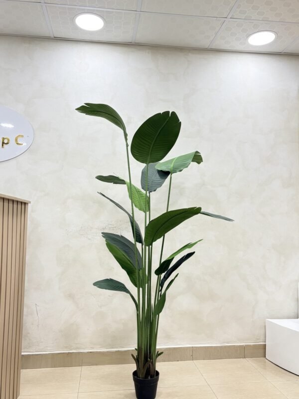 Artificial Banana Palm 200cm
