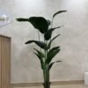 Artificial Banana Palm 200cm, view 2