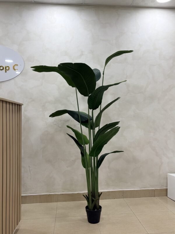 Artificial Banana Palm 200cm, view 2