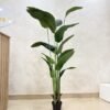 Artificial Banana Palm 200cm, view 3