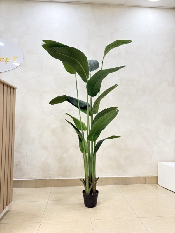 Artificial Banana Palm 200cm, view 3