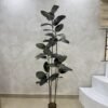 Artificial Black Ficus Plant 180cm