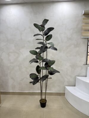 Artificial Black Ficus Plant 180cm