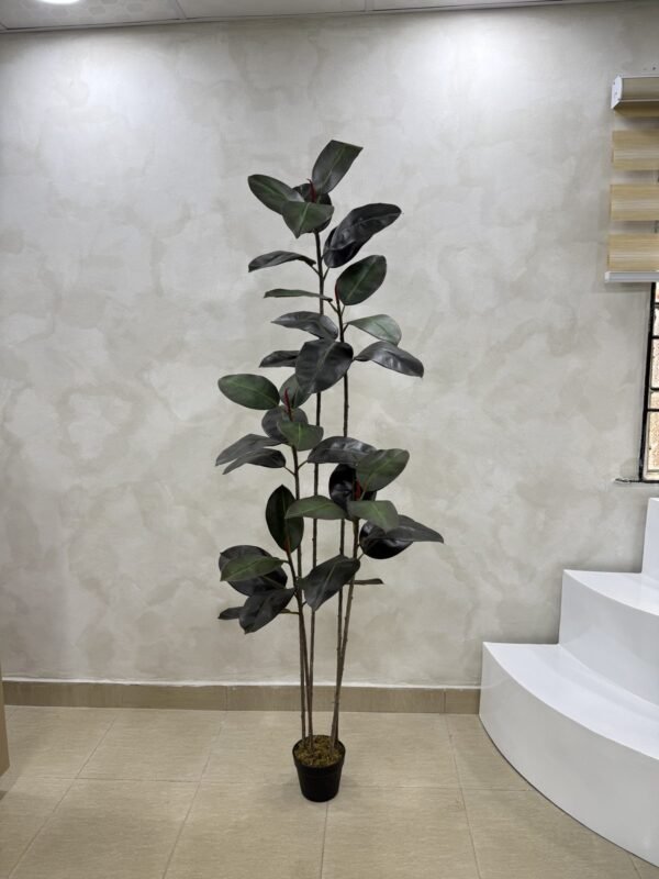Artificial Black Ficus Plant 180cm