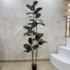 Artificial Black Ficus Plant 180cm, view 2