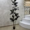 Artificial Black Ficus Plant 180cm, view 3