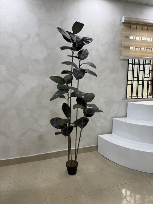 Artificial Black Ficus Plant 180cm, view 3