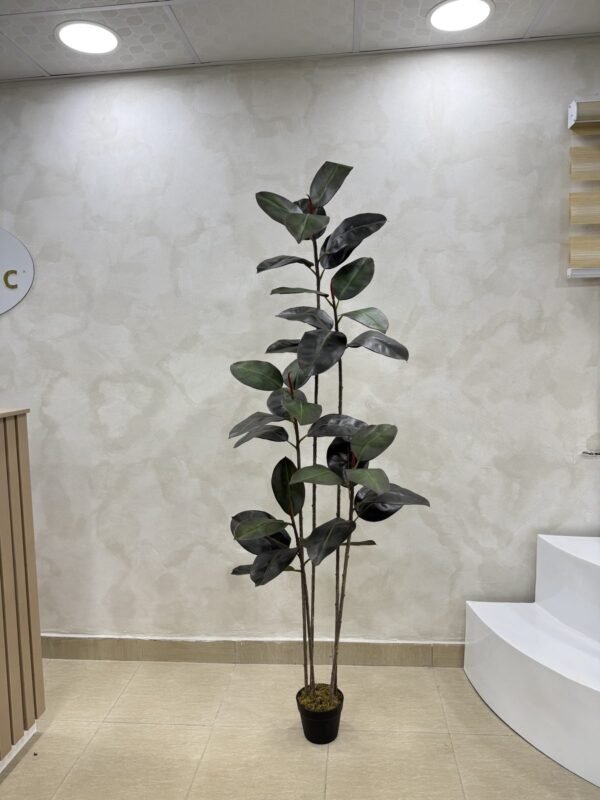 Artificial Black Ficus Plant 180cm, view 4