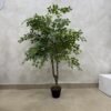 Artificial Elm Seed Plant 160cm Artificial Elm Seed Plant 160cm