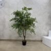 Artificial Elm Seed Plant 160cm Artificial Elm Seed Plant 160cm, view 4