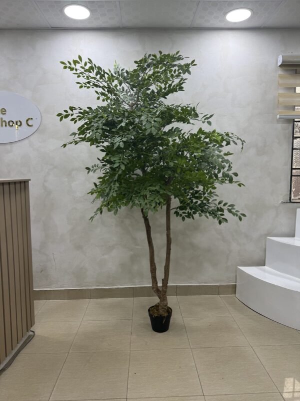 Artificial Elm Seed Plant 200cm Artificial Elm Seed Plant 200cm, view 3