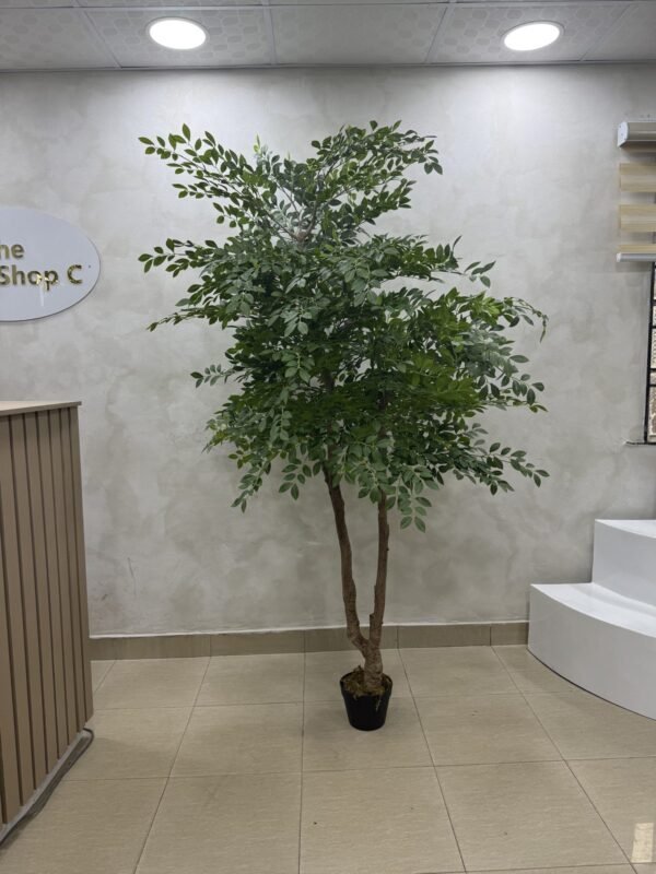 Artificial Elm Seed Plant 200cm Artificial Elm Seed Plant 200cm, view 5