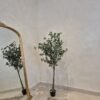 Artificial Eucalyptus 165cm