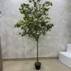 Artificial Exotica(pink) Plant 185cm, view 2