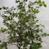 Artificial Exotica(pink) Plant 185cm, view 4