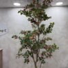 Artificial Exotica(red) Plant 250cm Artificial Exotica(red) Plant 250cm, view 4