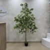 Artificial Exotica(white) Plant 185cm
