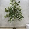 Artificial Exotica(white) Plant 185cm, view 5
