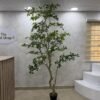 Artificial Exotica(white) Plant 250cm Artificial Exotica(white) Plant 250cm