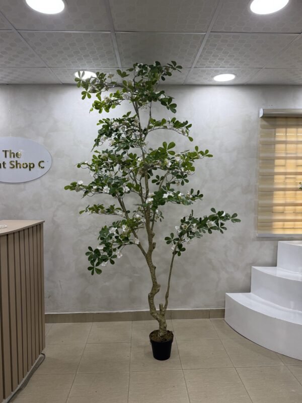 Artificial Exotica(white) Plant 250cm Artificial Exotica(white) Plant 250cm